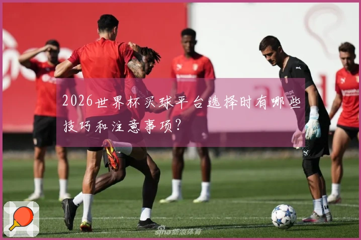 2026世界杯买球平台选择时有哪些技巧和注意事项？