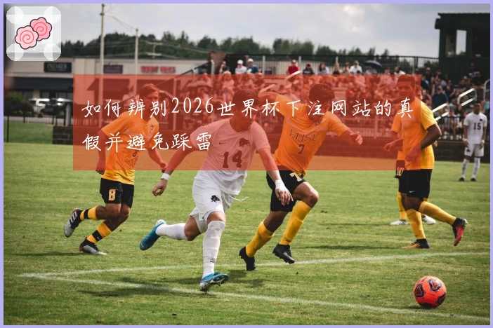 如何辨别2026世界杯下注网站的真假并避免踩雷