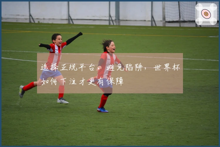 选择正规平台、避免陷阱，世界杯如何下注才更有保障