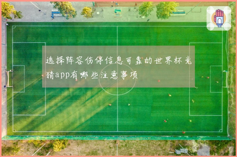 选择阵容伤停信息可靠的世界杯竞猜app有哪些注意事项