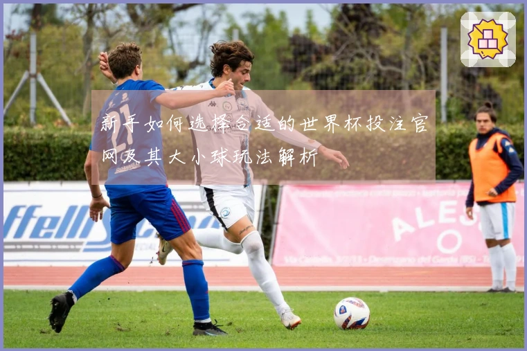 新手如何选择合适的世界杯投注官网及其大小球玩法解析