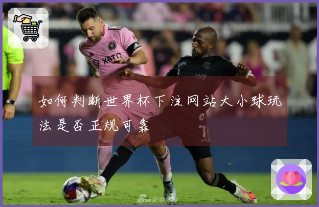 如何判断世界杯下注网站大小球玩法是否正规可靠